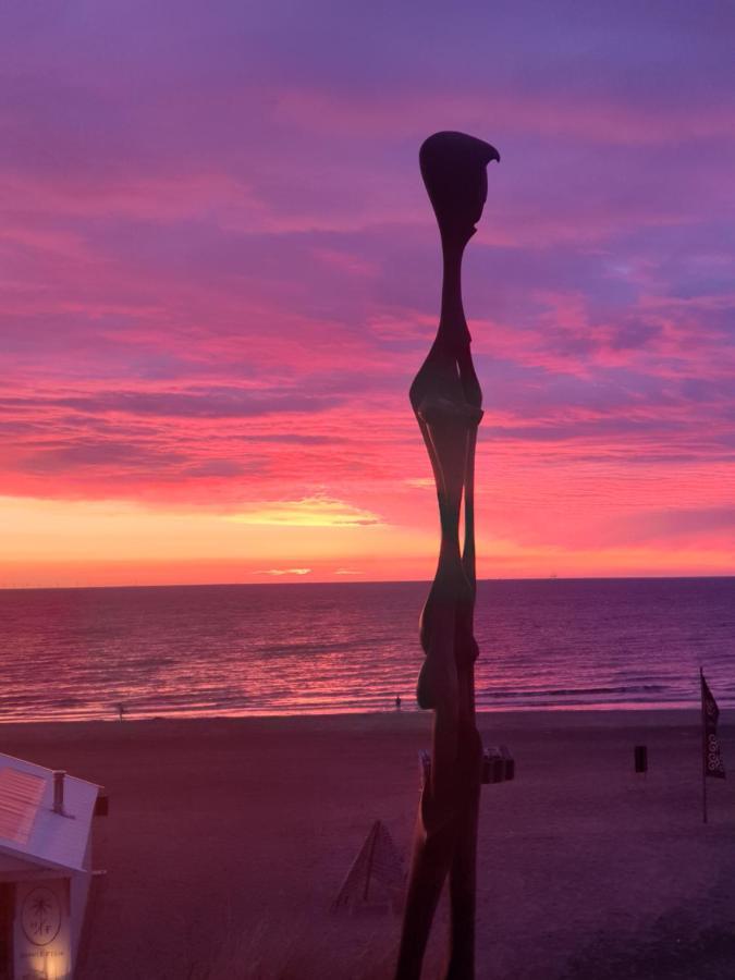 Sunset Lodge Zandvoort Esterno foto